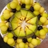 完熟メロンのタルト