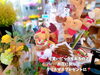 「贈り物だけでなく生活の一部にも！花やグリーンに癒される。魚沼市の花屋、佐藤花店。」