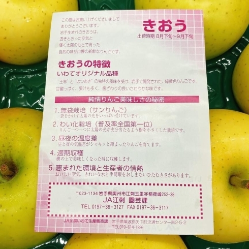 江刺りんご 黄王 きおう です 佐々豊青果のニュース まいぷれ 花巻 北上 一関 奥州 江刺りんご 黄王 きおう です 佐々豊青果のニュース まいぷれ 花巻 北上 一関 奥州