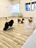 みんなで追いかけっこ〜「ましゅまろ幼稚園」