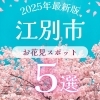 【2025年最新版】江別市のお花見スポット5選｜桜の見頃とおすすめ公園情報