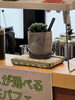 ミニ畳の使用例(多肉植物)「SAIJOBASEマルシェに参加してきました😆」