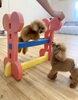 さらんちゃん　とても上手です☺️「ましゅまろ幼稚園🐾パート２ &サロン予約状況」