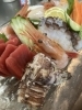 「25日から春シャコ漁が始まりました⁉️」