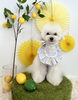 ちきくん「わんことレモン🍋」