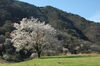 「穏やかな春の休日」