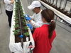 丁寧な支援を心がける職員。真面目に学ぶ利用者さん「定植第三弾！急遽「かおりの」の苗を植えました🍓」