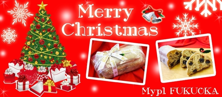 福岡市 クリスマス特集 まいぷれ 福岡市中央区 博多区 福岡市 クリスマス特集 まいぷれ 福岡市中央区 博多区