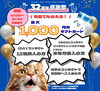 ギフトカード1000円分「;佐賀店＊好評につき延長！32周年感謝祭SALE開催中🎉」