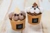 かわいいワンちゃんアイスも登場♪「シーガイアキッチンカーも出店！ フローランテ宮崎「第5回ワンちゃんDay」が3月8日（日）に開催されます！」