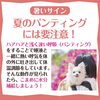 夏のパディングには注意！「犬の暑いサインを見逃さないで！」