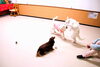 「今日のお友達」