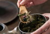 「入荷のお知らせ｜余市で丁寧に育てられた無農薬ハーブの薬膳茶。」