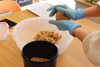 味噌作り「3月のレッスンスケジュール【お料理教室　宮崎市　船塚町　発酵食品】」
