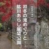 【愛媛県大洲市】初冬の滝めぐりと肱川あらし展望公園