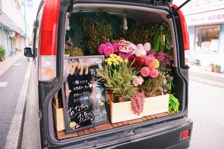 お花や観葉植物を買うならここ 市川市でおススメの花屋まとめ 市川暮らしを楽しくするお店まとめ まいぷれ 市川市