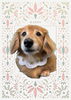 「Dog salon mofu mofu　余市町」