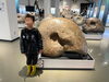 巨大アンモナイト✨「土曜日外出イベント！（三笠市立博物館🦕🦖）【札幌市北区篠路　児童発達支援　放課後等デイサービス】」