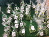 新鮮地場野菜「コテラス直売所よりお花と新鮮なお野菜入荷しておりまーす(*^^*)」