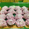 「岩手県産　「赤かぶ」の出荷量が増えてきていますよー♪」