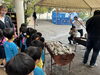 「焼き芋大会」