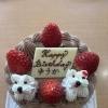 本日のお誕生日ケーキ