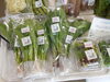 「春野菜」
