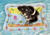 おとくん「波とわんこ🌊」