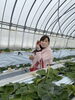 「恋するトキメキバス婚ツアー２９日編」