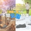 【新しいから懐かしいまで】家族で遊べる-下関公園特集！