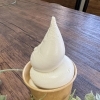 カップ