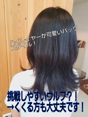 ロングウルフレイヤー ヘアーサロン2c トゥーシー のニュース まいぷれ 米子 ロングウルフレイヤー ヘアーサロン2c トゥーシー のニュース まいぷれ 米子