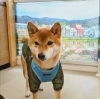 まるちゃん「今日のお友達」