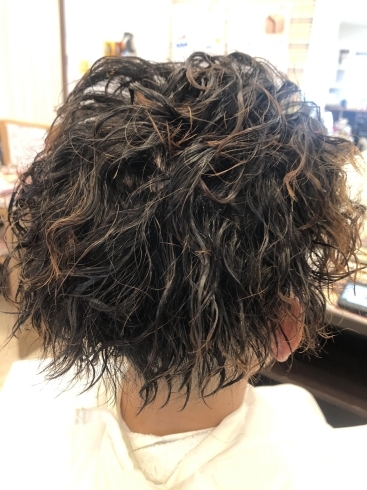 ツイストスパイラルパーマ Hair Renovation Frontierのニュース まいぷれ 千葉市稲毛区 ツイストスパイラルパーマ Hair Renovation Frontierのニュース まいぷれ 千葉市稲毛区