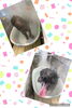 カシミアタッチトリートメント「可愛い子ちゃん♡ Dog salon mofu mofu 余市町」