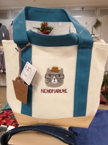 ネコまるけの商品入荷しました 学生服 婦人服 マルイ ツツイのニュース まいぷれ 吉野川 ネコまるけの商品入荷しました 学生服 婦人服 マルイ ツツイのニュース まいぷれ 吉野川