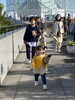 ぬいぐるみのペンギンを買ってもらって嬉しそう「葛西臨海公園に行きました♬ 西船アンティークDEN」