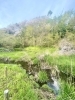 せせらぎの園地区を流れている小川