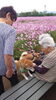 「デイサービス金太郎野外歩行訓練八女市立花町立花商事コスモス園へ‼️YouTube見てね(^O^)‼️。」