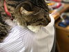 「クルミのお気に入りスタイル」