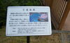 「展望広場から引揚桟橋を望む」