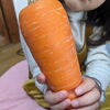 「真っ赤ないちご！【福島市の八百屋さん 幸青果/福島市、伊達市・伊達郡、二本松市など県北中心にお届けします！】」