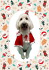 「Dog salon mofu mofu　余市町」