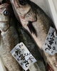 「本日営業中です」