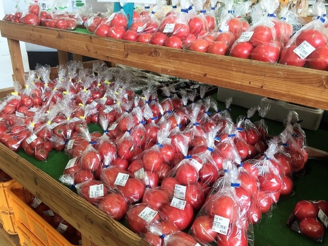 今が旬 ふきのとう 販売してま す 上田市丸子農産物直売加工センター あさつゆのニュース まいぷれ 上田 東御 今が旬 ふきのとう 販売してま す 上田市丸子農産物直売加工センター あさつゆのニュース まいぷれ 上田 東御