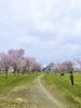 「釧路桜まつりに行ってきました　【釧路　パーソナルジム】」