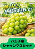 そして、明日は八王子産シャインマスカットを初販売。「802SKYSHOP 八王子産野菜だけを販売しています。今まで何種類の八王子産野菜を取り扱ったかがちょっと気になったので調べてみました。なんと約132種類販売していました。さすが東京都内で農業生産高NO.1八王子。明日シャインマスカット販売」