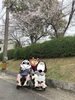 穏やかな時間、心温まるお花見「季節を感じるお散歩」