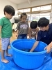 「八女市で保育園をお探しの方へ」