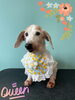 「Dog salon mofu mofu　余市町」